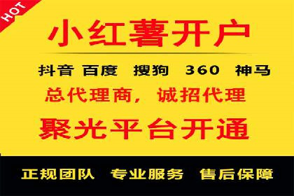 百度推广代理商成功案例：某行业巨头背后的推手